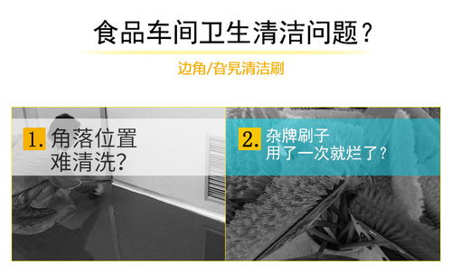 食品厂用清洁工具5020洗地刷 提升清洁效率与卫生标准的关键选择