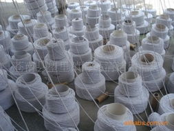 苍南县望里镇海岛清洁用品厂——专注清洁，呵护每一个角落